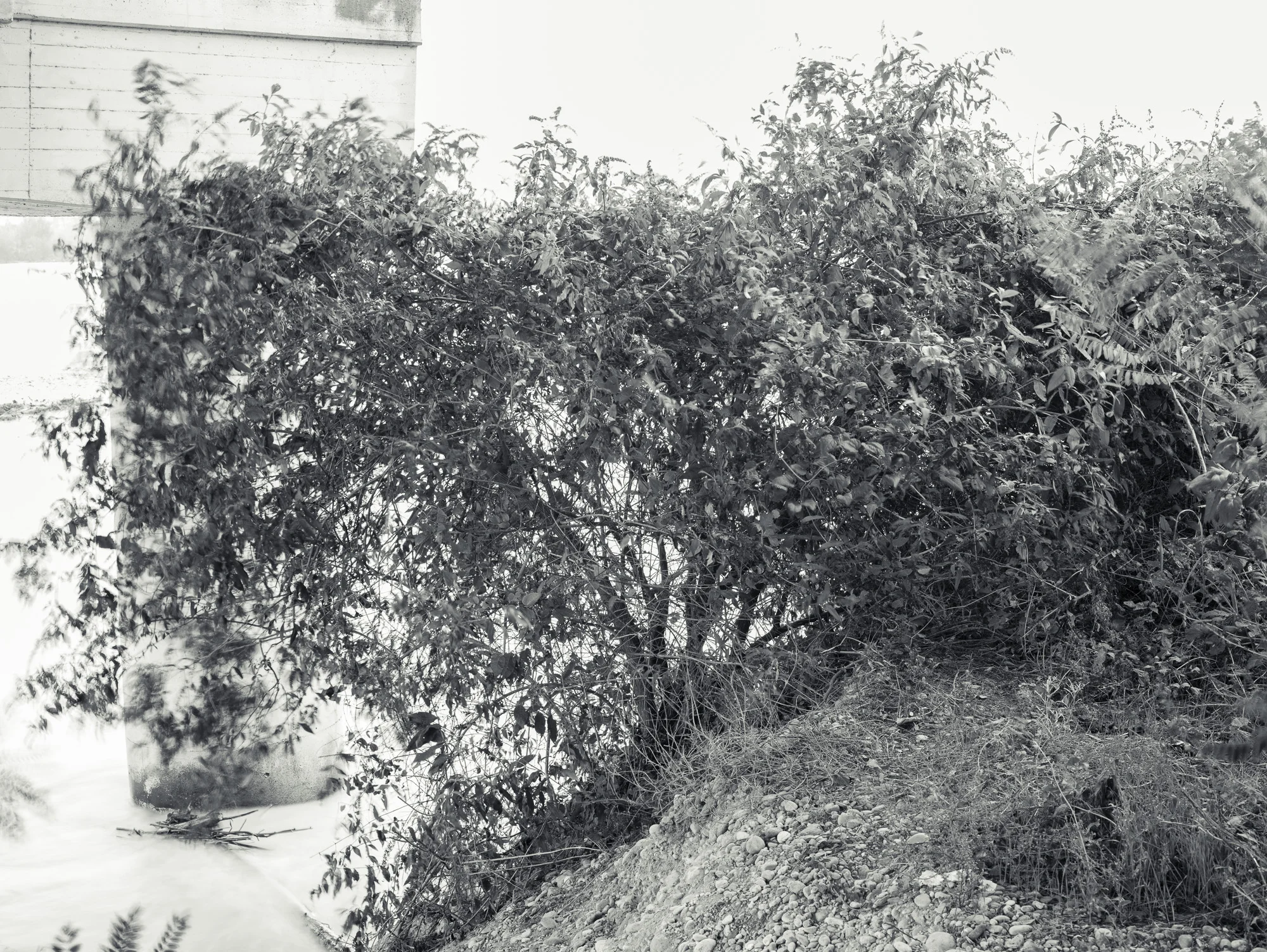 Andrea_Alessio_06_14_pv_38913.jpg