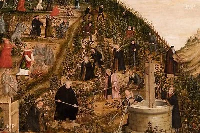 Twenty-Seventh Sunday in ordinary Time