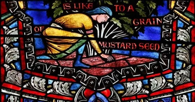 Twenty-Seventh Sunday in Ordinary Time