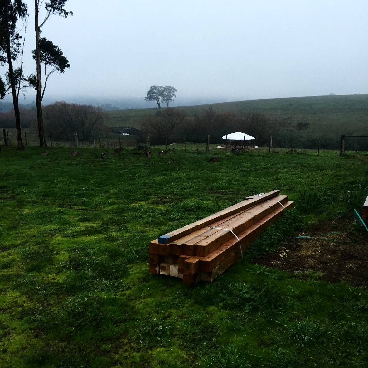 THE YURT AND VEGGIE PATCH ARE NEXT!