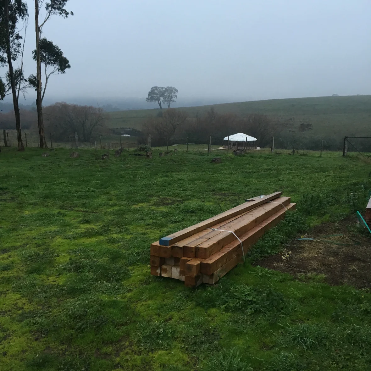 THE YURT AND VEGGIE PATCH ARE NEXT!