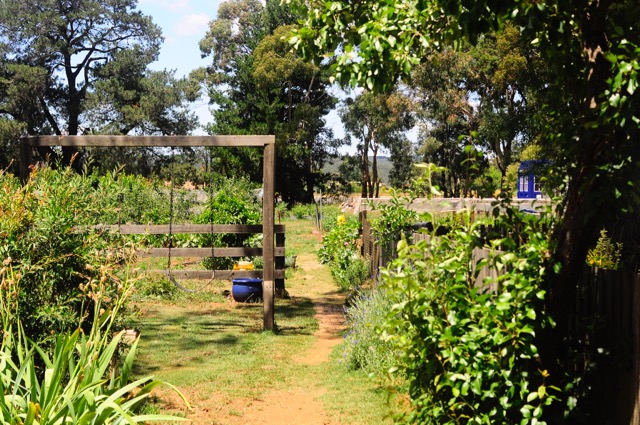 Fiona Buchanan - ADSUM FARMHOUSE