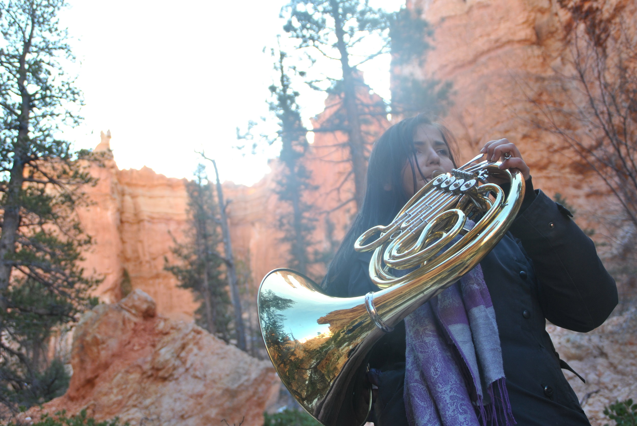  Of course one of my favourite things in life is music and the French horn. One of my passions is nature, National Parks, and especially the beauty of America's SouthWest. Naturally, it is wonderful to combine these two things!&nbsp;  This photo was 