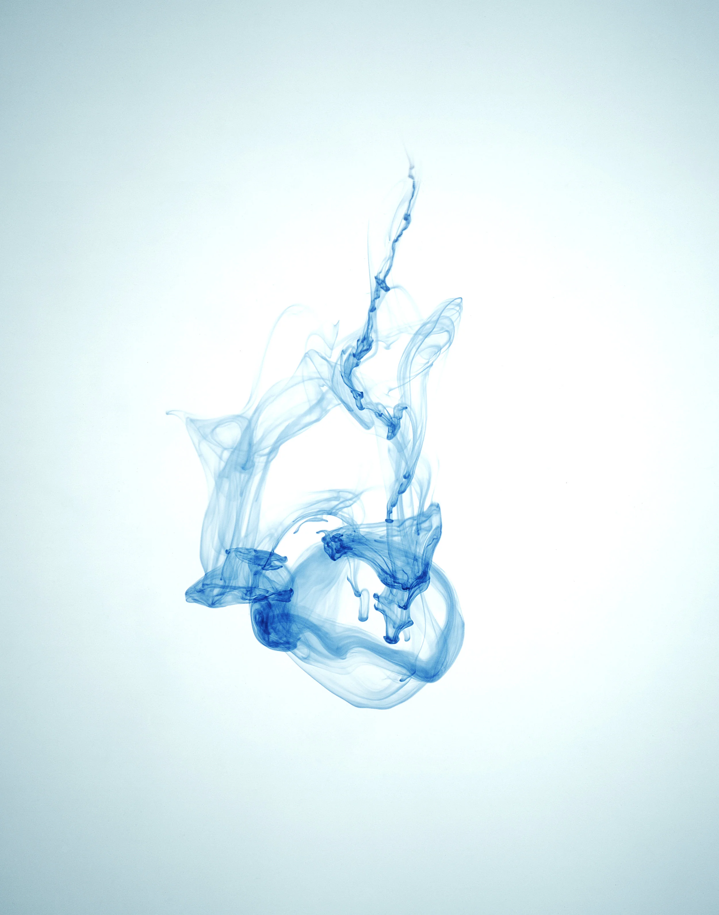 blue 1 copy.jpg