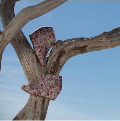 Z cape shoes 2.jpeg