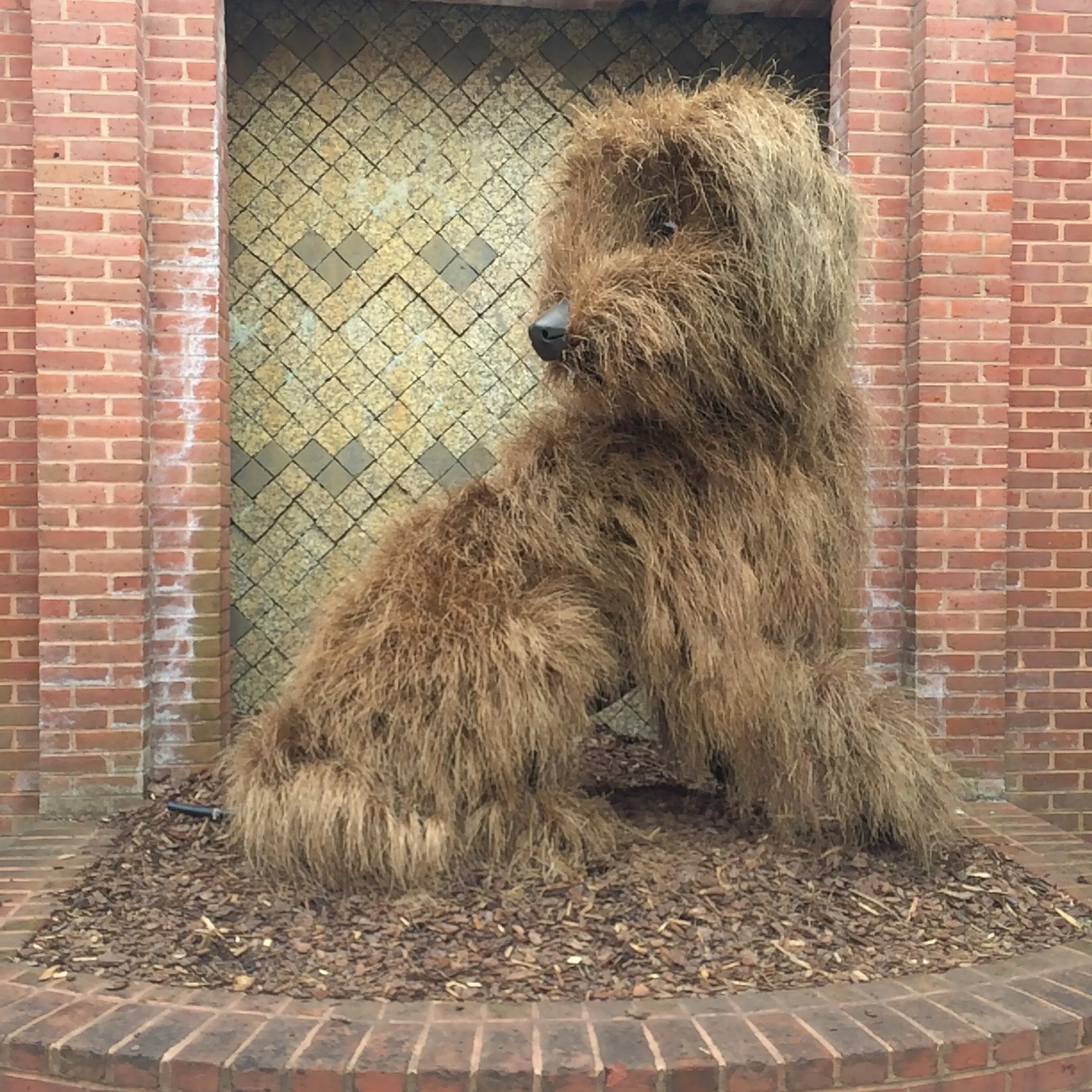 A plant made to be styled like it was a dog.