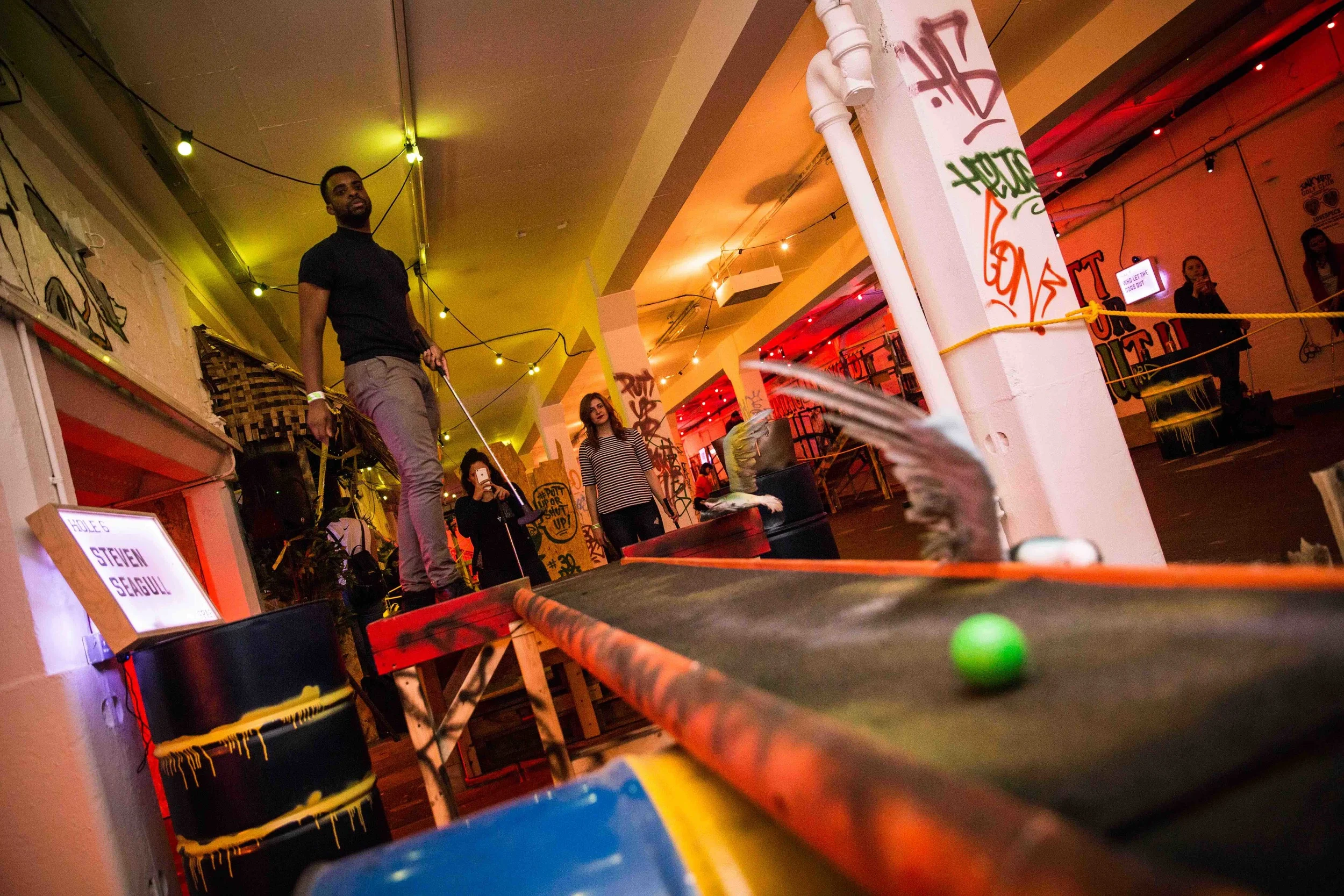 junkyard-ball-hole-in-one.jpg