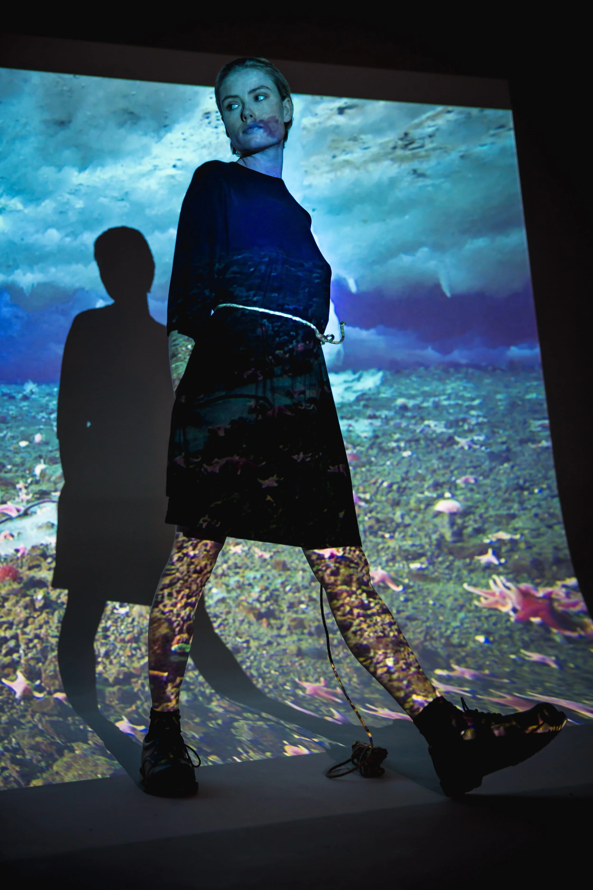 menikmati-projection-560.jpg