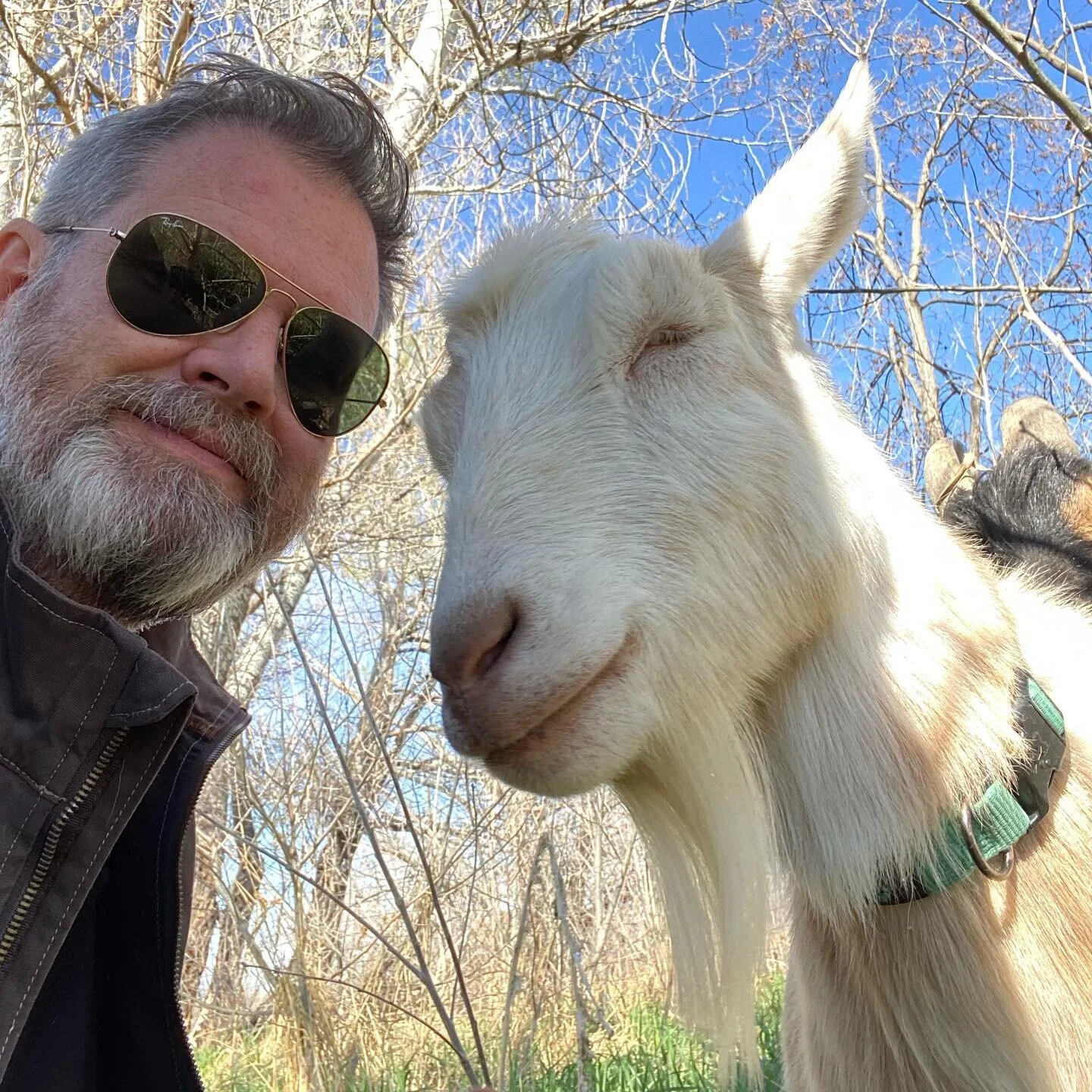 All #smiles. @cureorganicfarm Free #goat #hugs all day!