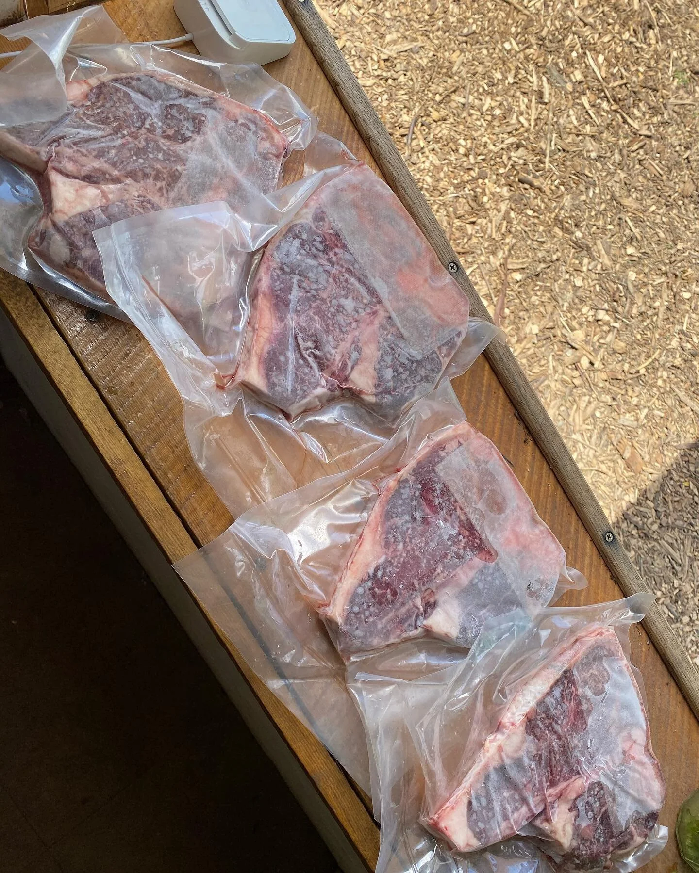 Grass fed beef? #grassfedbeef !!! @cureorganicfarm we&rsquo;re at the farm stand all day! #porterhousesteak #ribeyesteak all the great cuts, 💯 grass fed and grass finished, right here in #boulder county. Some of the best #beef I&rsquo;ve ever had. F