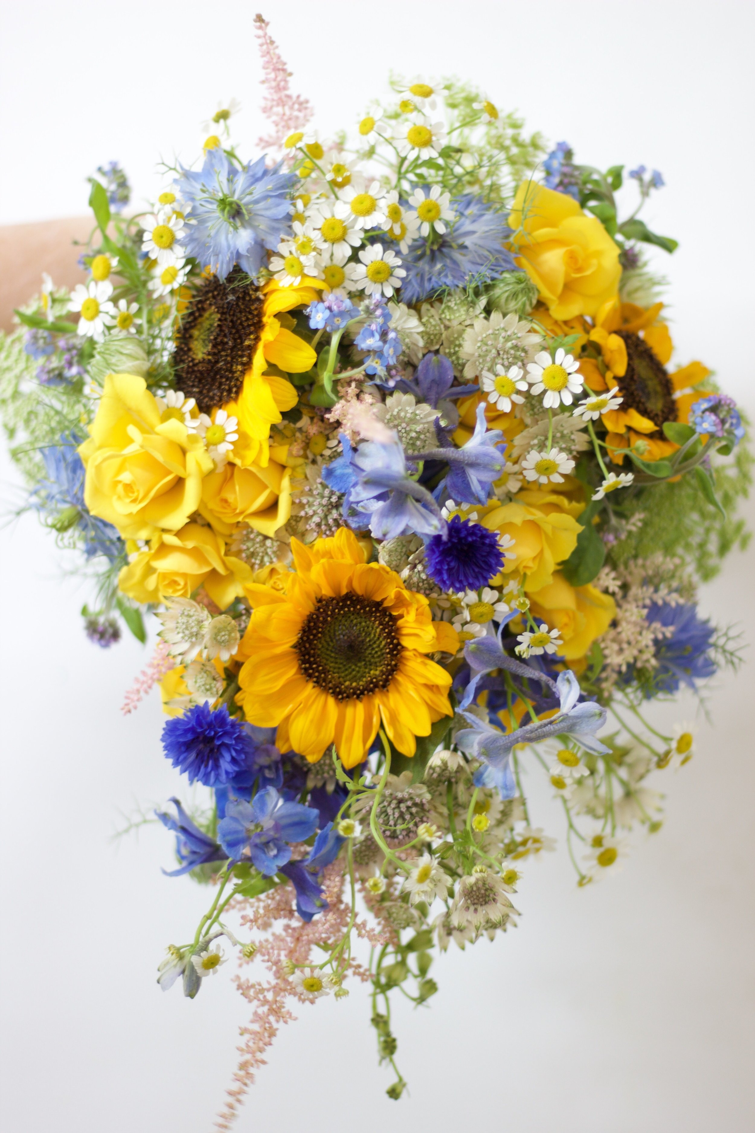 sunflower 4.jpeg