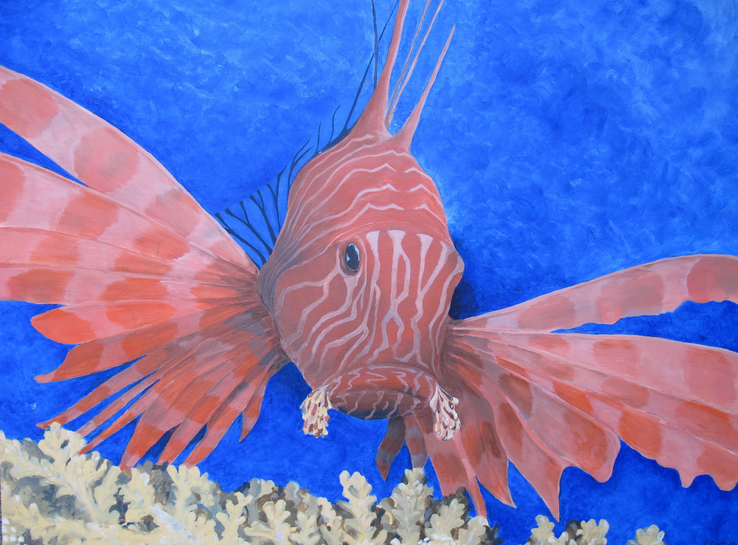 Lion Fish  Acrylic on Canvas 24 x 36