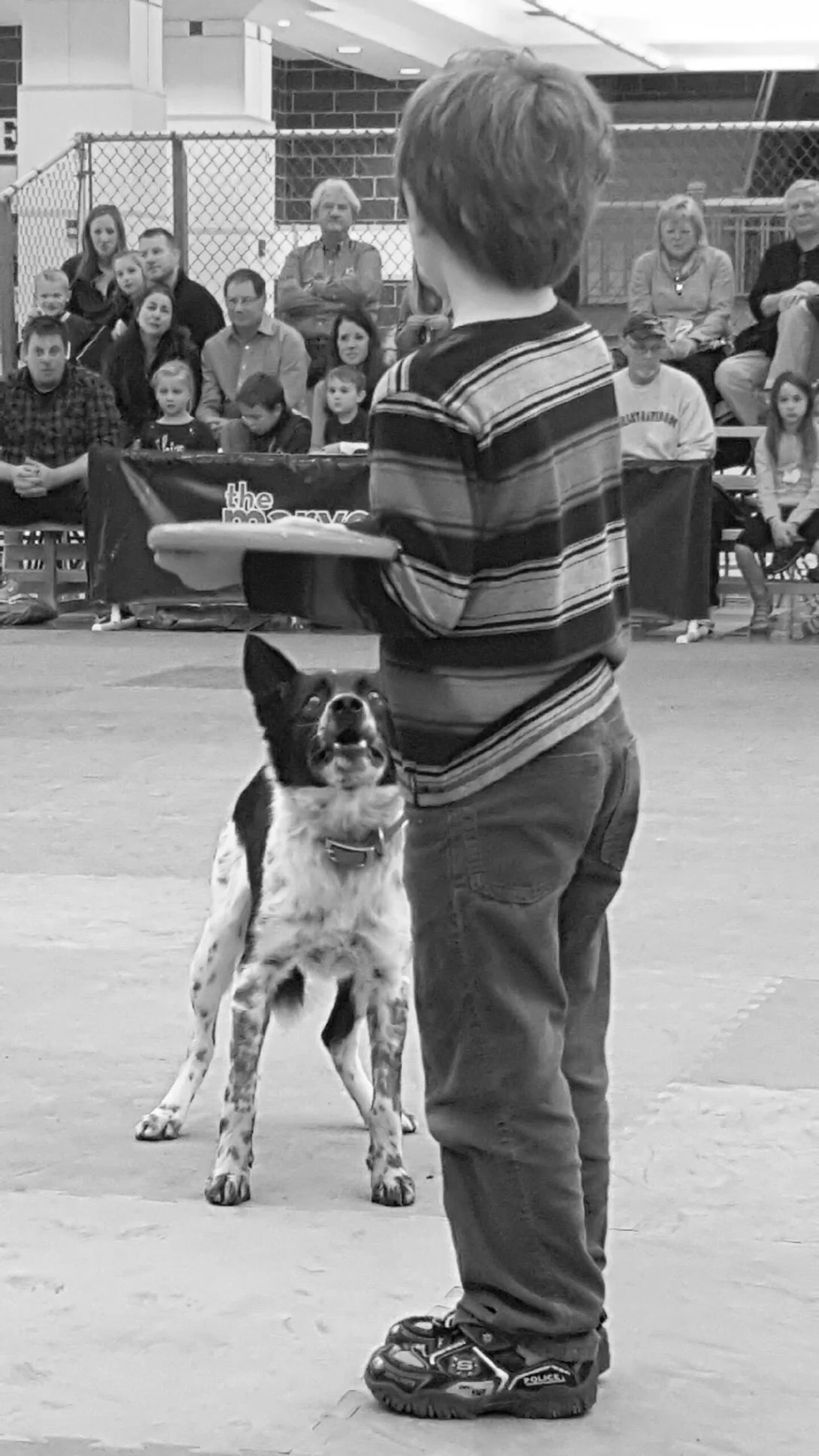 A lucky volunteer gets picked to throw the frisbee for Mucho. Don’t worry . . . he looks at everybody like that. ;-