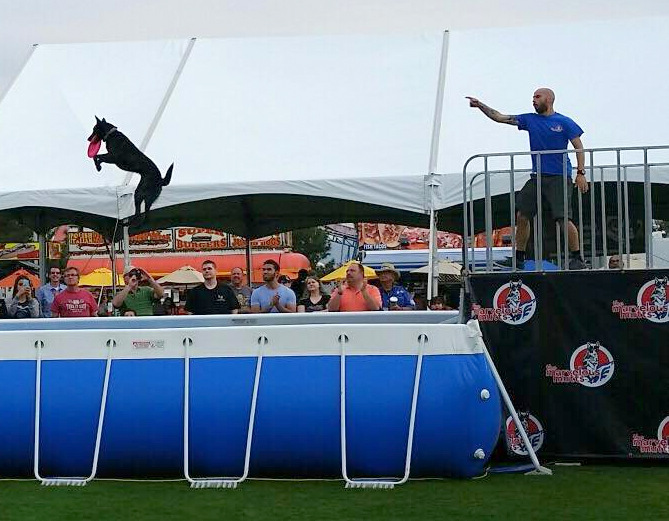 Chris with Poison Ivy at the West Valley Fair. This young Dutch Shepherd loves dock diving, and is already putting HUGE jumps.