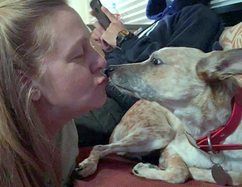 Tipitina reuniting with her foster mom, Lorina, in Glendale, AZ. Thank you to Arizona Cattle Dog rescue for bringing this fun-loving cattle dog mix into our lives.