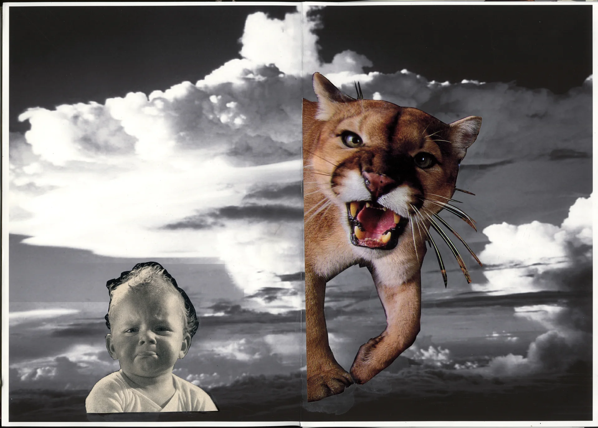 baby and 1/2 lioness