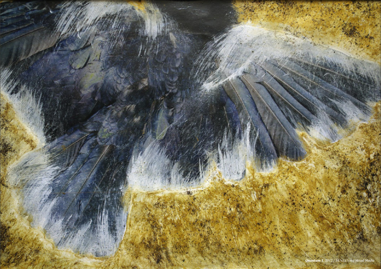 Article image 7.png