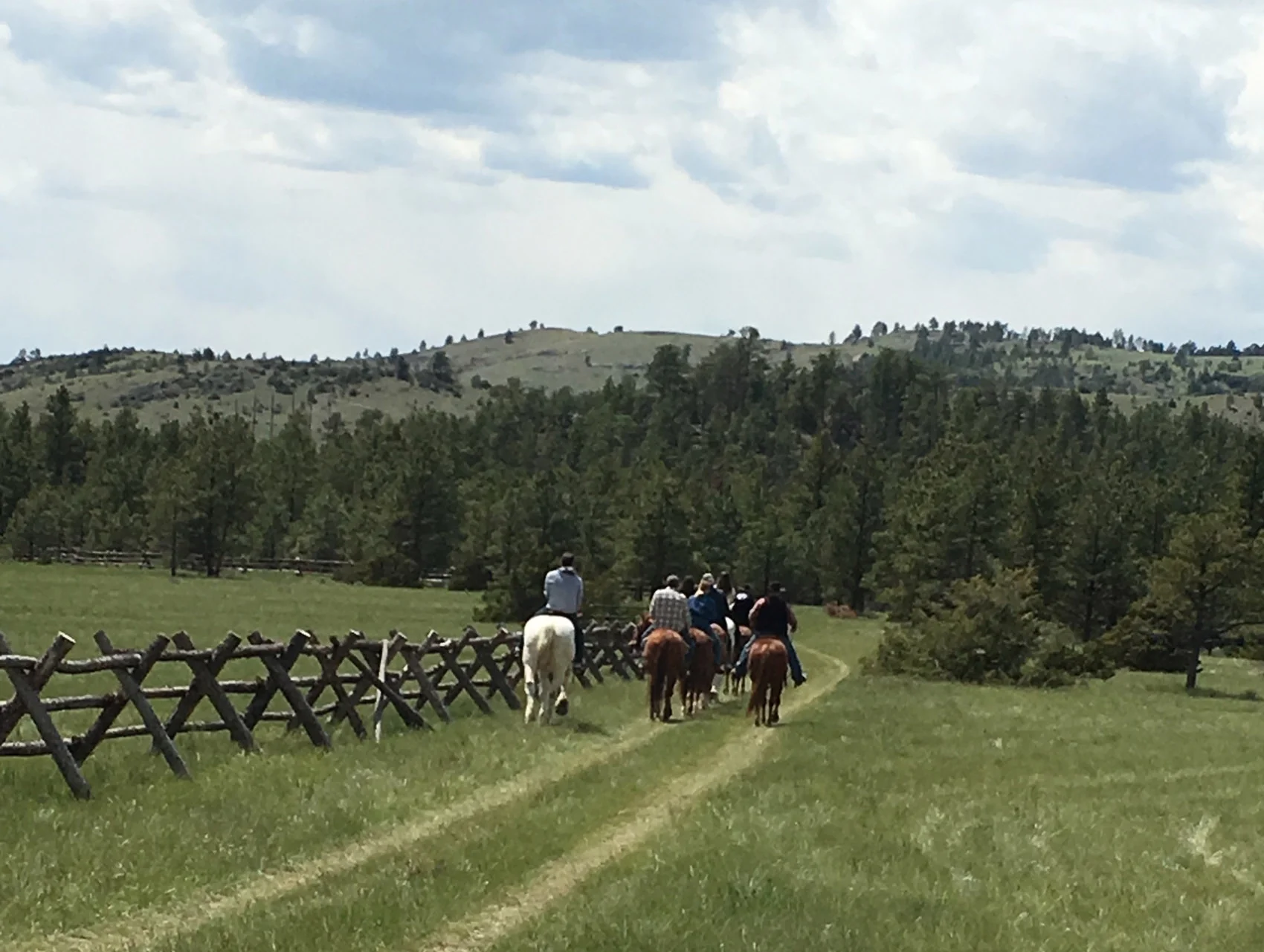  HORSEBACK RIDING