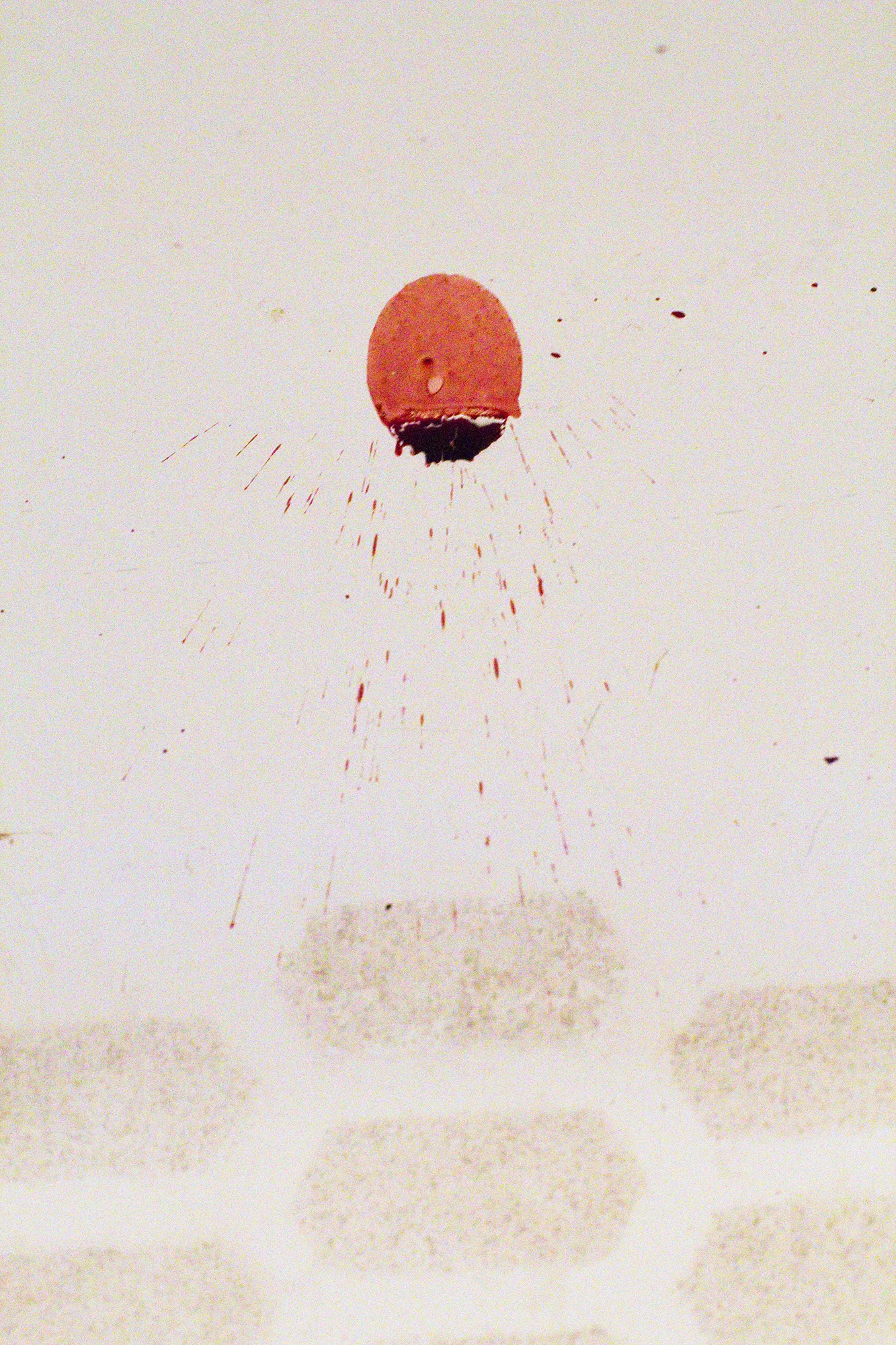 31 Rising Sun20002011::20:13.jpg