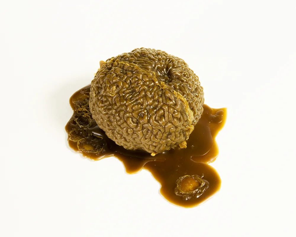 Brown hedgeallpe.jpg