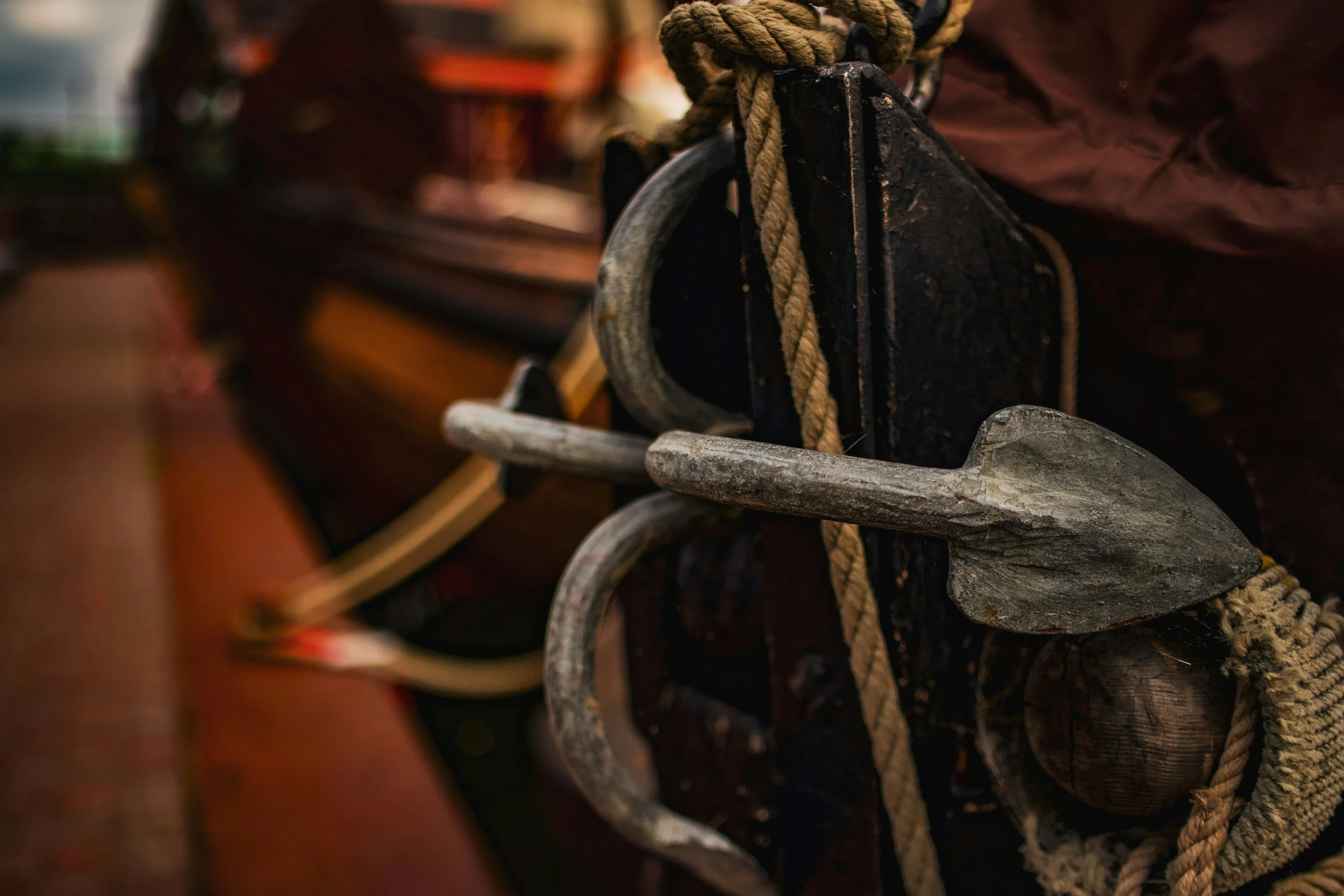 Anchored in the Storm