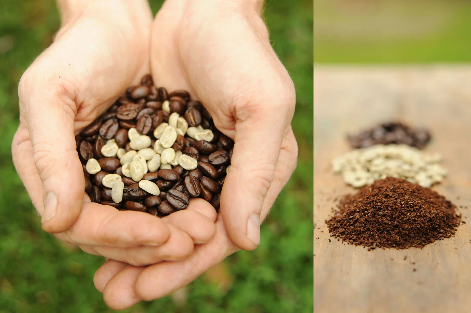 Coffeecomp.jpg