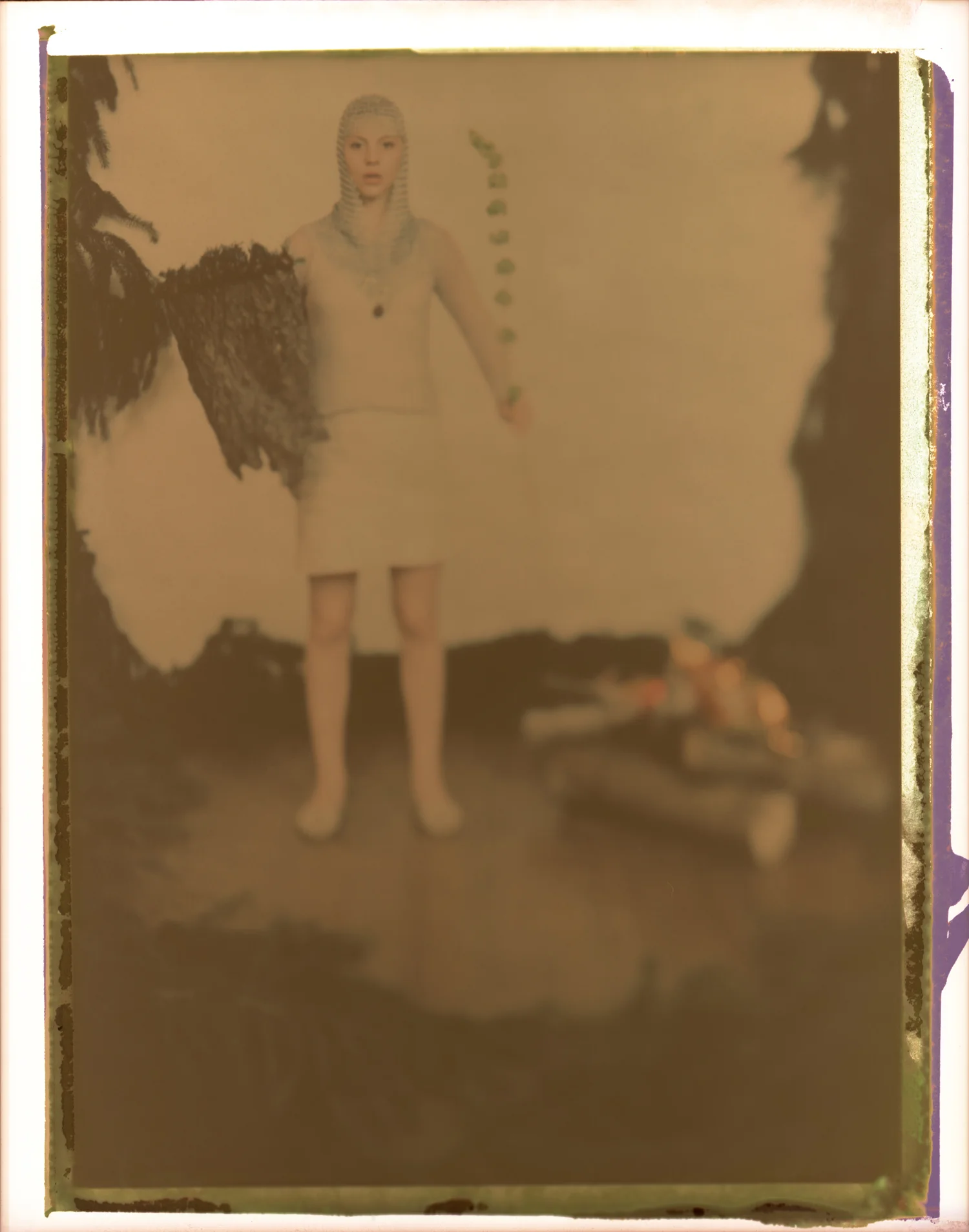 AnaBarkpolaDLarge034.jpg