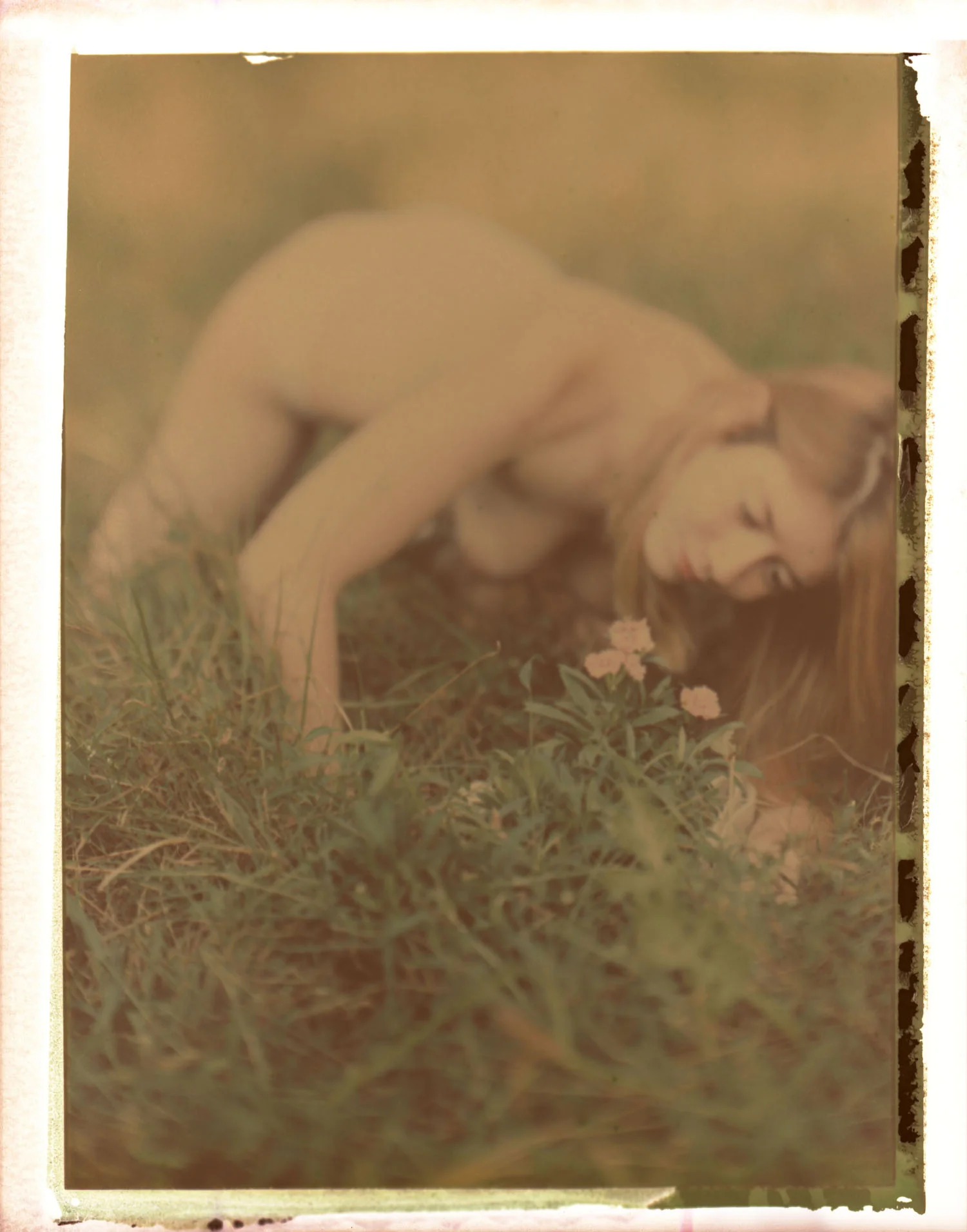 isabellegrass586.jpg