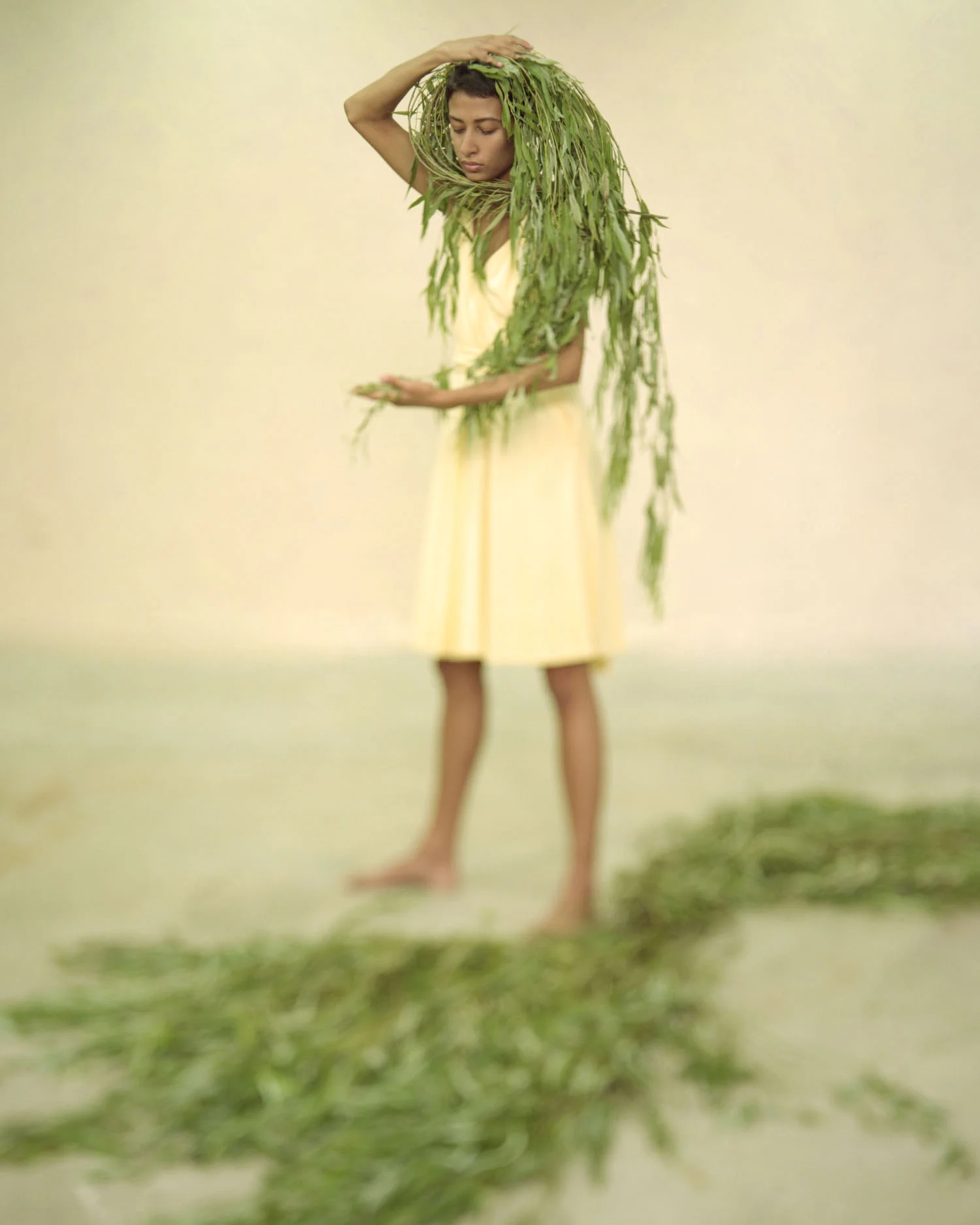 MichellegrassARTCrop007.jpg
