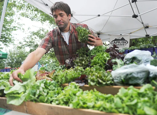 CARUSO FARMS; Heirloom Peppers, Carrots, Radishes, Pumpkins, Kales & Lettuces