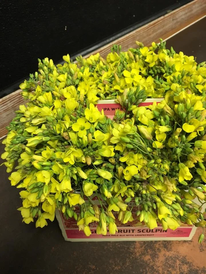 BEV BARR Wild Edible Flowers