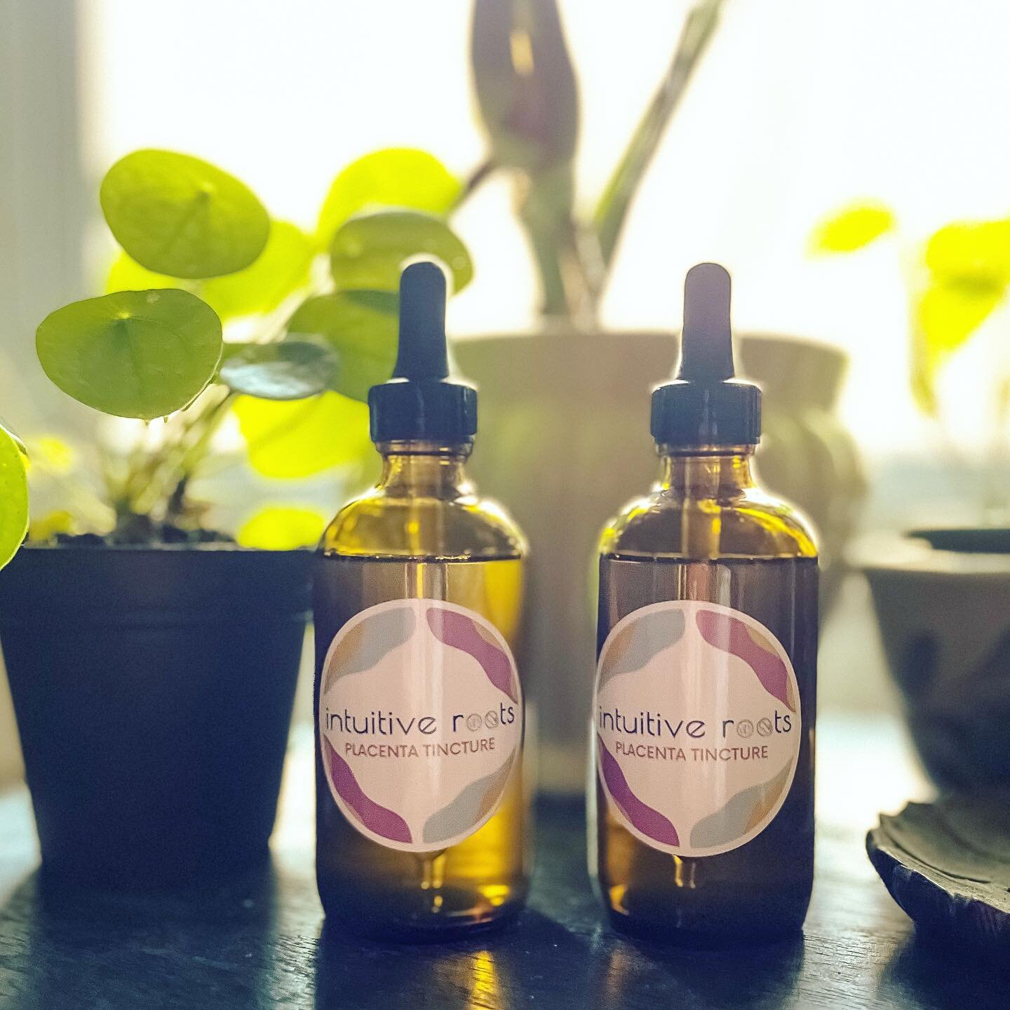 These placenta tinctures went off to their home this week! 
&bull;
&bull;
&bull;
&bull;
&bull;
#placentamedicine #placentatincture #placenta #tincture #postpartum #postpartumsupport #postpartumhealing #fourthtrimester #lactation #naturalhealing #plac