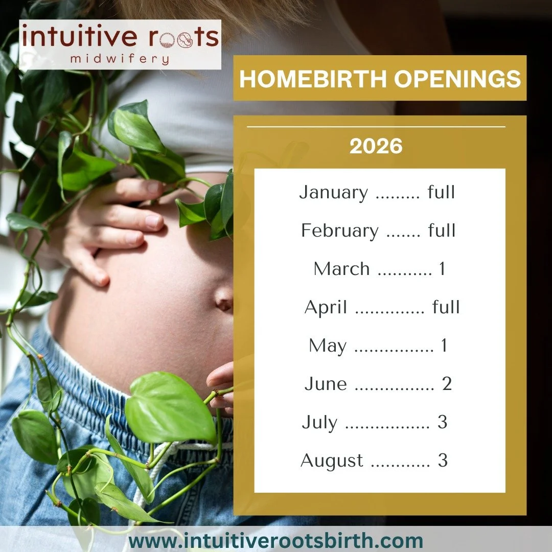 ✨ I&rsquo;m Back and Welcoming 2026 Families ✨
After a pause to birth and nurture my own baby, I return to midwifery with a deeper reverence for the body&rsquo;s wisdom. In the quiet of my own postpartum season, I have leaned into the slow unfolding 