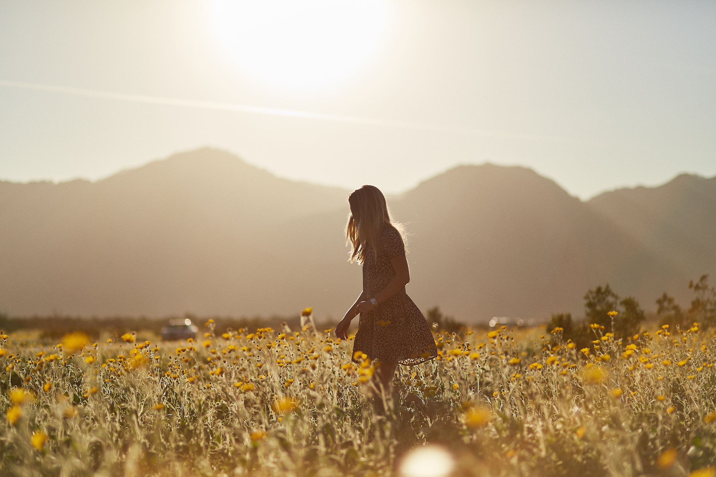 _O4C3957-ANZA-SUPERBLOOM-0624.jpg