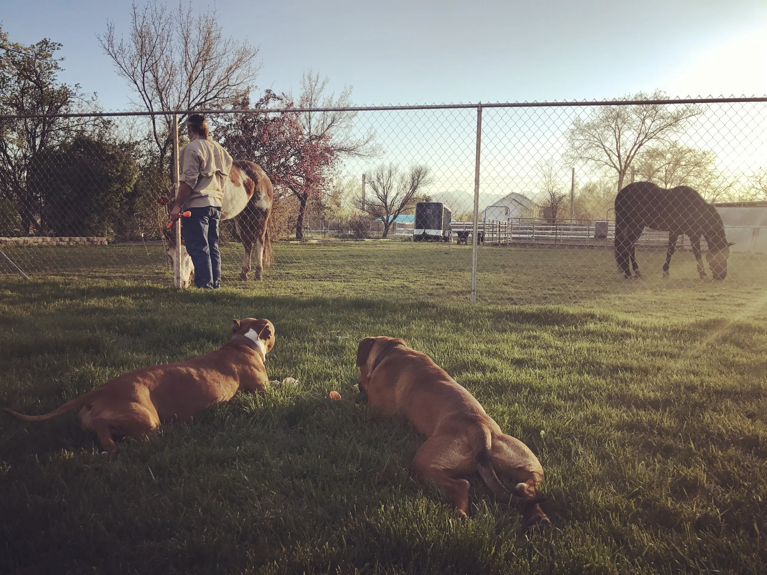 Betty and Buck with horses.JPG