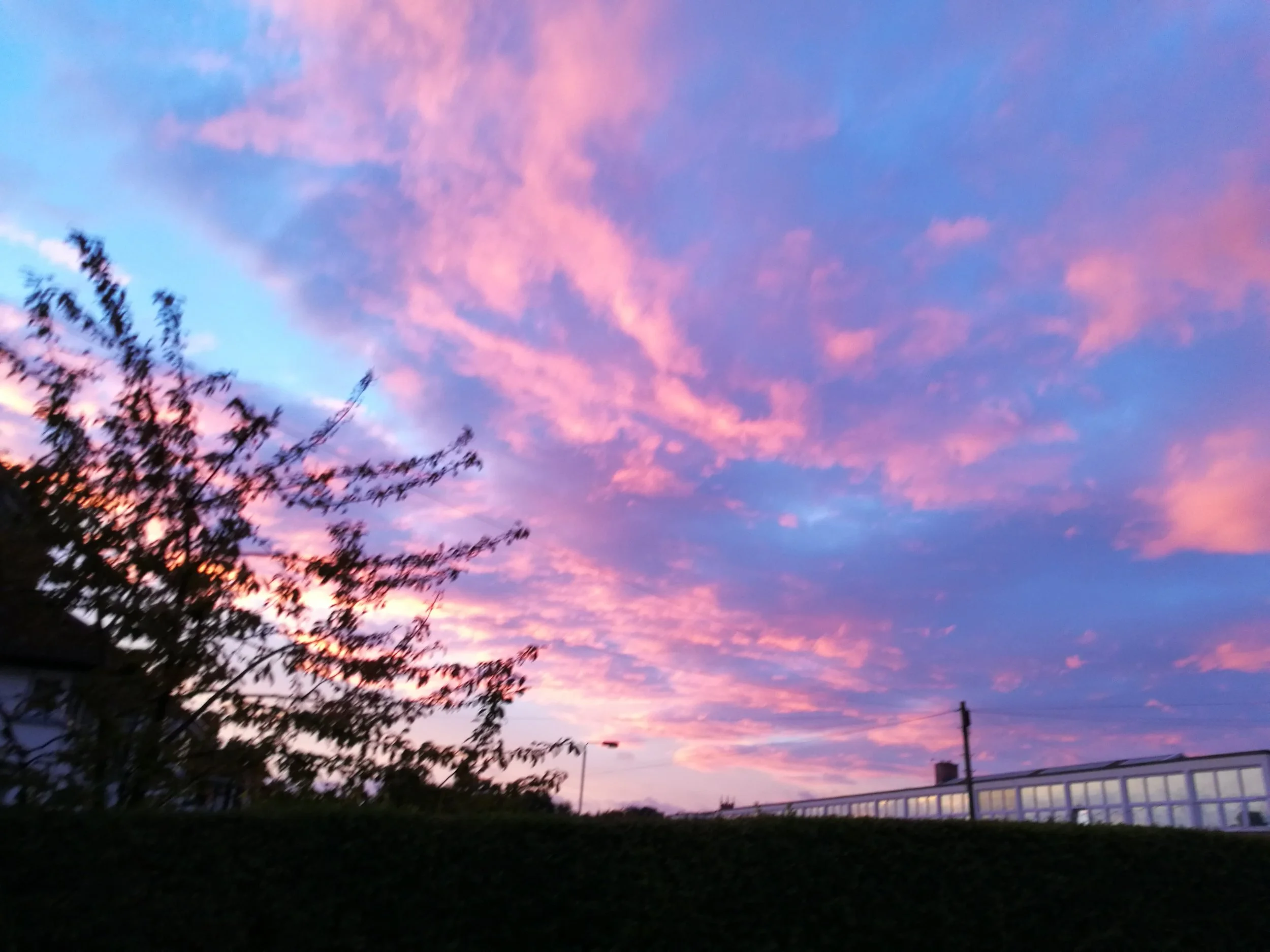 Sunrise