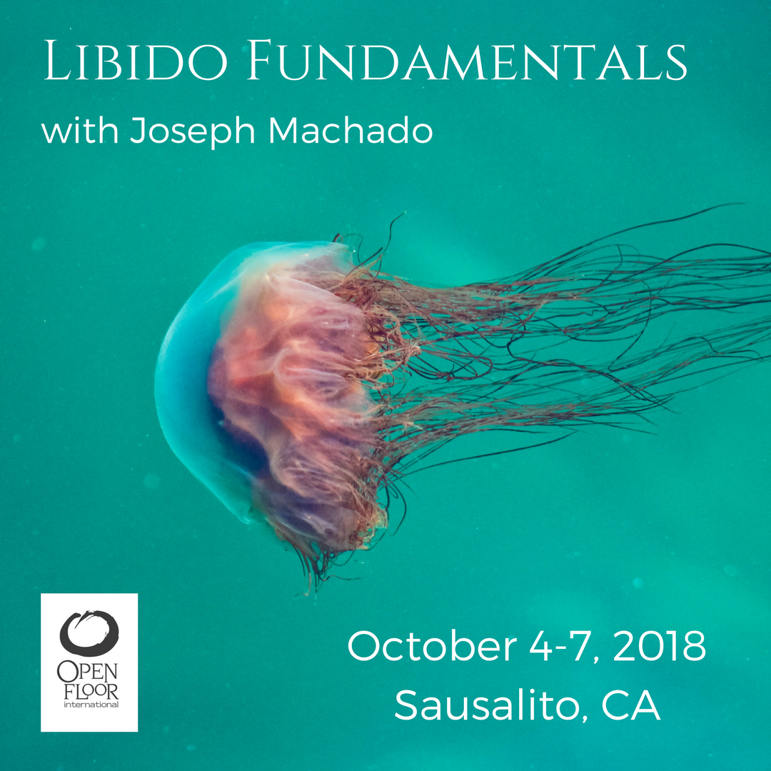 Libido Fundamentals
