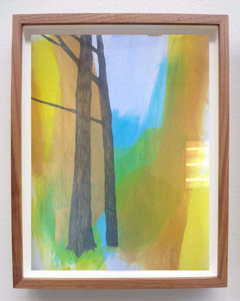 Meghan Gerety Various Titles, 2014-2016 graphite and acrylic on paper 14 x 11 in., framed in waxed walnut