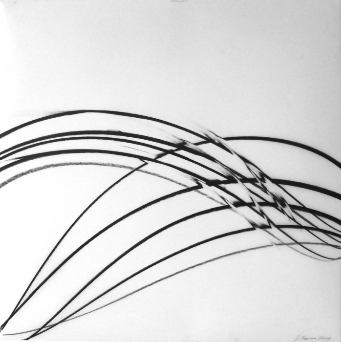 Jaanika Peerna Undulations 4 , 2014 pigment on mylar 14 x 14 in.