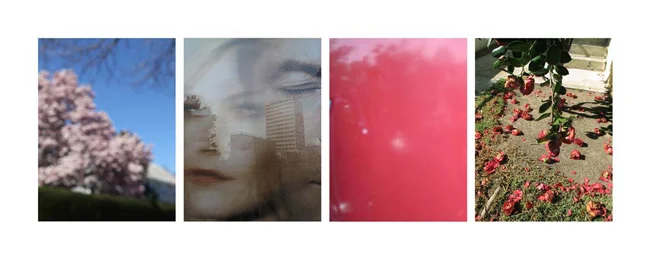 Sandi Haber Fifield Luck, 2012 digital archival pigment print 24 x 38 in. (edition of 8) 38 x 61 in. (edition of 5)