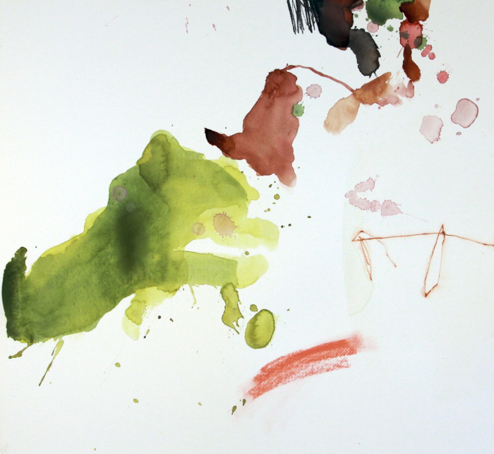 Michael Rich Blossoms 6 , 2010 mixed media on paper 22 x 24 in.