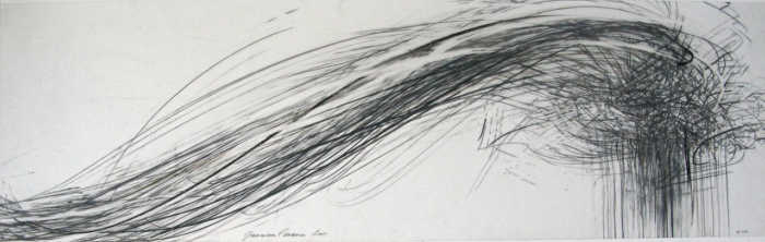 Jaanika Peerna Storm Series #49 , 2011 graphite and color pencil on mylar 11 x 36 in.