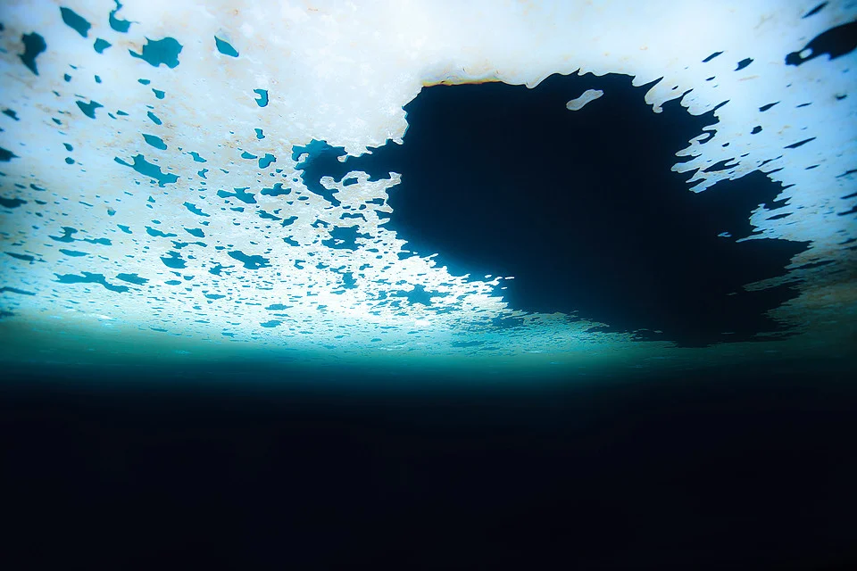 Bluebottom , 2016 c-print on matte paper available in: 30 x 45 in. (edition of 7) 40 x 60 in. (edition of 7) 48 x 72 in. (edition of 3)