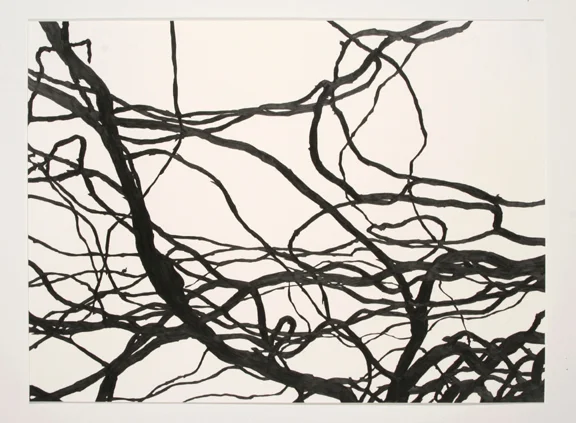 Meghan Gerety Study 05, 2006 Graphite on watercolor paper 22 x 30 in. 