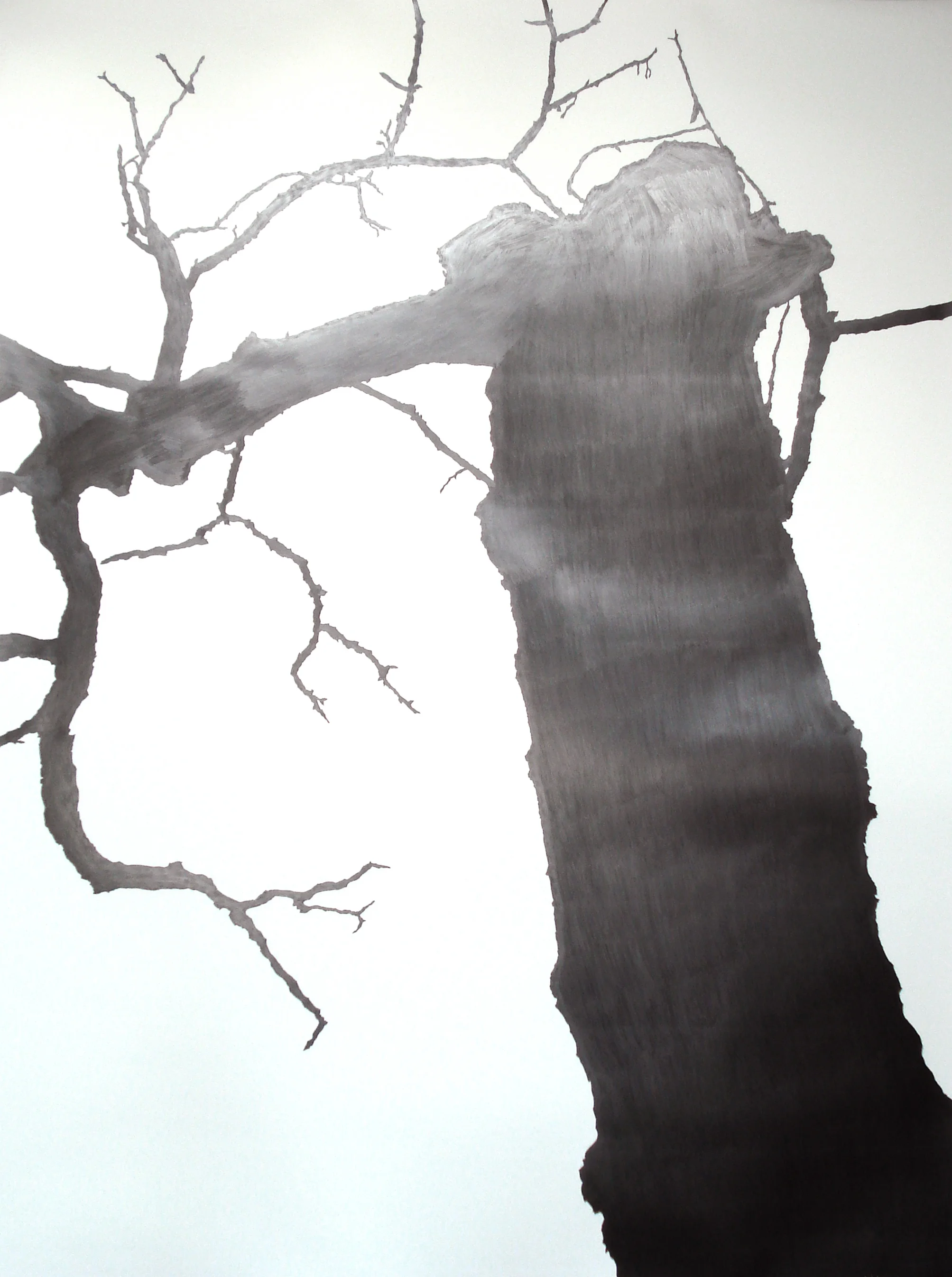 Meghan Gerety Not Only the Visible Universe, 2007 Graphite on watercolor paper 70 x 52 in.