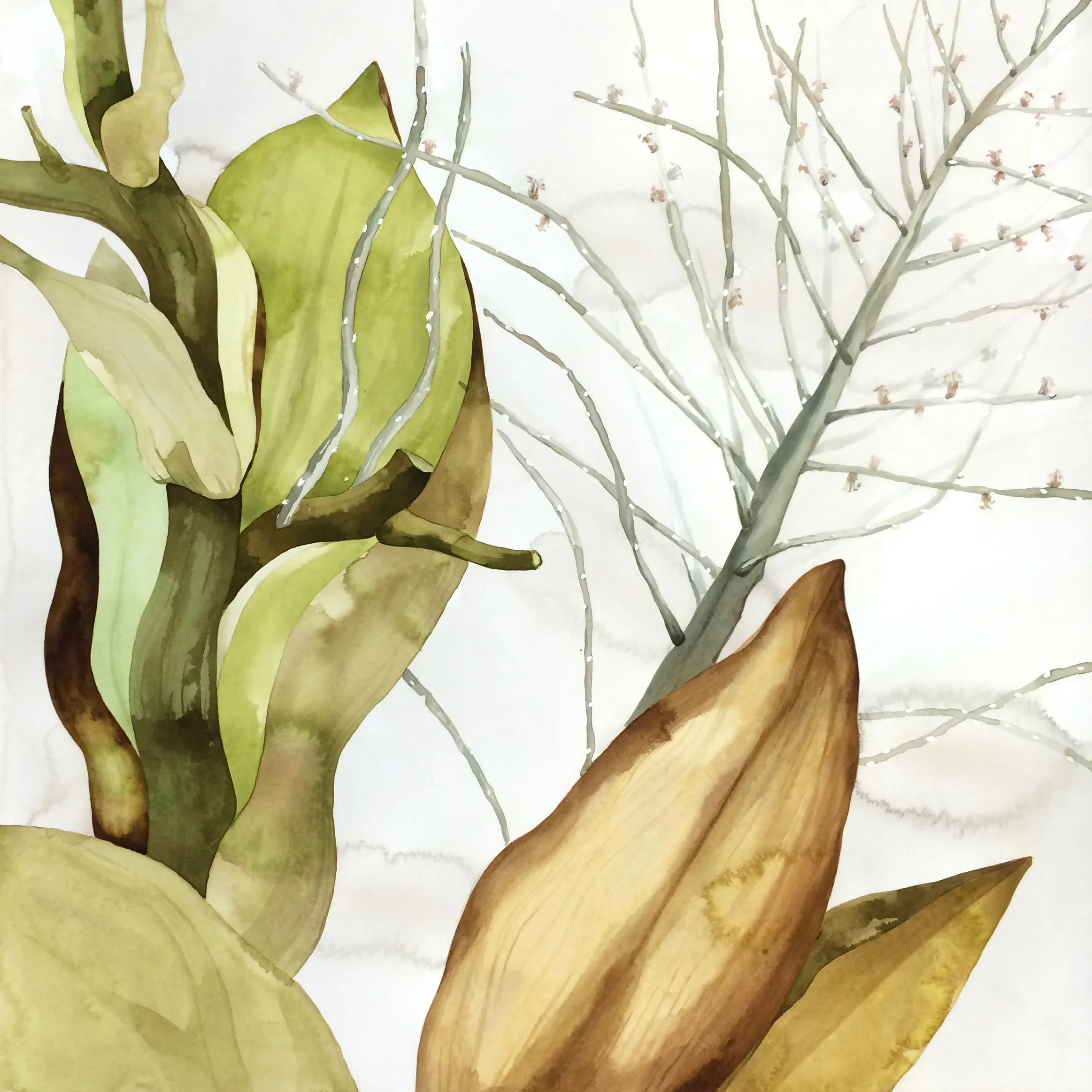 Idoline Duke Palm Detail III , 2016 watercolor on paper 30 x 30 in. This work is part of a suite of 4.