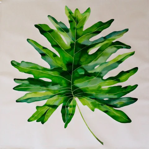 Idoline Duke Big Tropical Leaf, 2016 watercolor on paper 52" x 52"