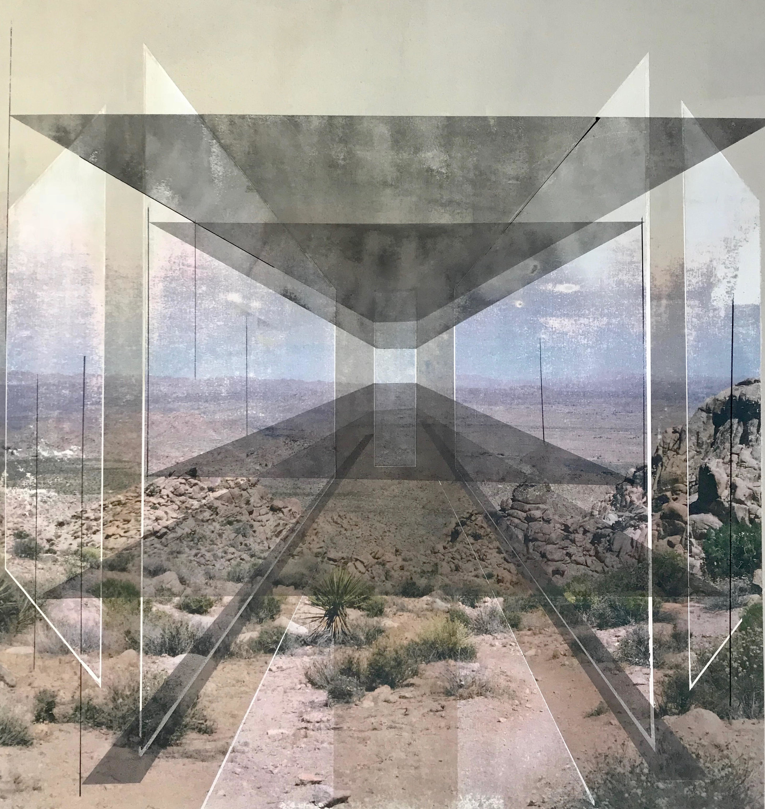  Rodrigo Valenzuela  New Land 15  toner, acrylic, chalk on canvas  framed in white wood shadow box frames 