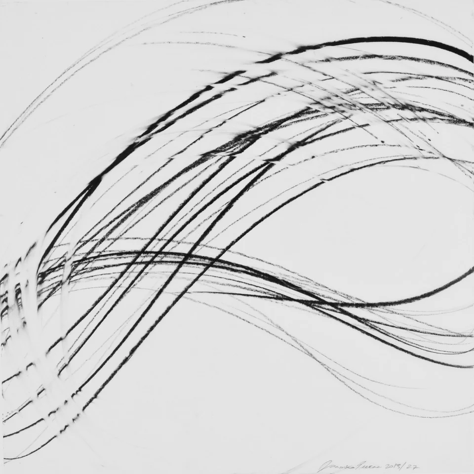 JAANIKA PEERNA Undulations 27, 2013 pigment pencil on mylar 18 x 18 in.