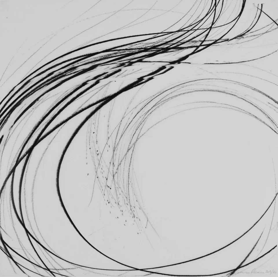 JAANIKA PEERNA Undulations 26, 2013 pigment pencil on mylar 18 x 18 in.